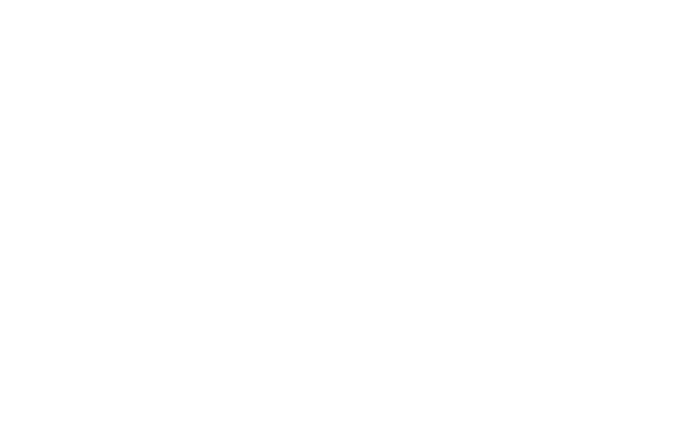 Magnificence Agency